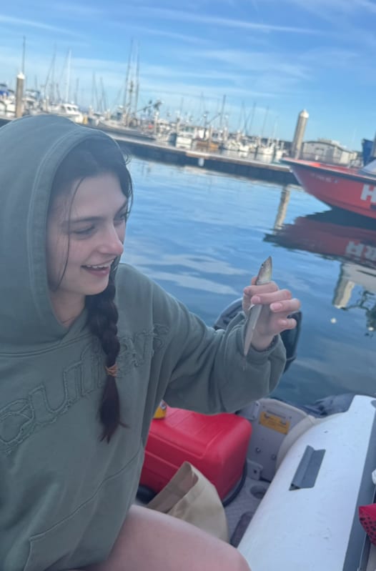 bad day to be a fish
