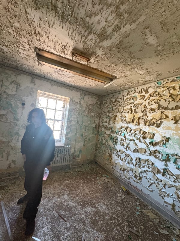 Paint peels