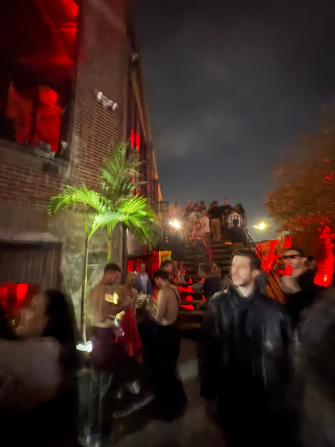 Tiki disco (1 of 2)